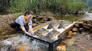 The girl made a wooden slide to trap fish in the stream. And caught 15kg of fish.