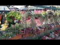 Мой цветущий двор!🌱Красота своими руками!🦋🌺 //My garden! Beauty with your hands!