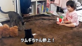 猫は子供を守る　猫ちゃんとヒメちゃんはお友達56