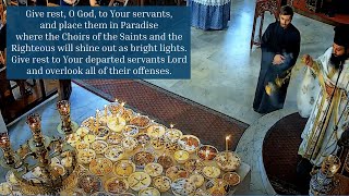 Souls Saturday, Matins, Divine Liturgy \u0026 Memorials for the Departed (22/02/2025)