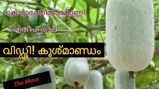 #വിഡ്ഢി കൂശ്മാണ്ഡം/ഐതീഹ്യമാല//viddi kooshmandam/Aitheehyamala/Kottarathil Shankunni