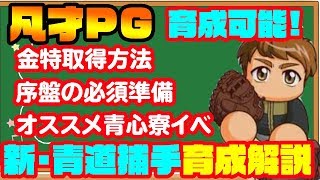 めちゃくちゃ強い!!新青道高校の立ち回りはこれだ!!金特の効率の良い取得方法やオススメ青心寮イベントなど!![パワプロアプリ]