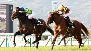 あすなろ賞 　芝2000m (右 B)　サトノシュトラーセ　牡3　57.0　藤岡康太　2024.2.11　　出走馬：ガイアメンテ、オールナット、ヴァンヴィーヴ、スノーブリザード 、ヴィクトリアドール他