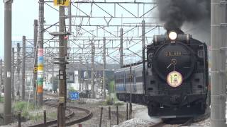 上越線 SLみなかみ D51498 8735レ 井野～新前橋 2013.06.29