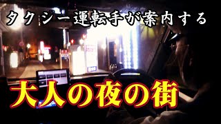 【Vlog】GoTo新潟旅行その②　夜の街をタクシーで観光　運転手による古町案内編