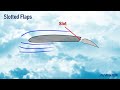 What are Flaps  When are Flaps used  Advantages and Different types of Flaps
