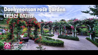 [4K] Daehyeonsan Rose Garden // 대현산 장미원 // Travel Vlog // 모리슨 영상여행