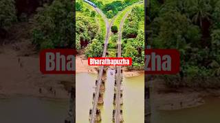 Nila River / ഇതാണ് നമ്മുടെ ഭാരതപ്പുഴ. #anglingworld #shorts #shortvideo