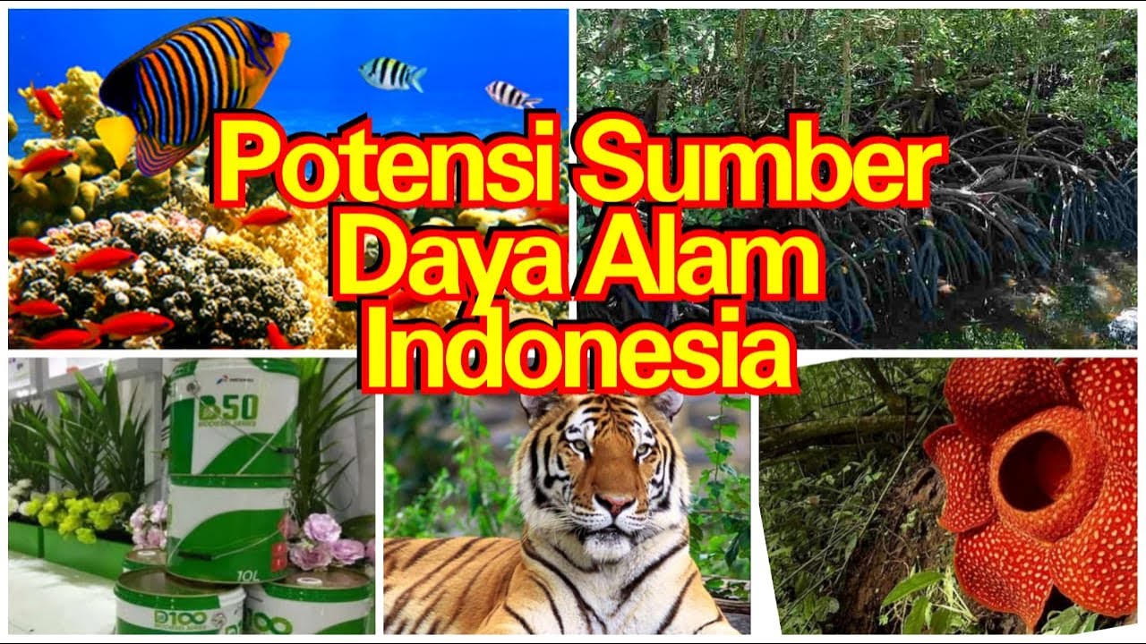 Potensi Sumber Daya Alam Indonesia Ips - Berkas Soalku