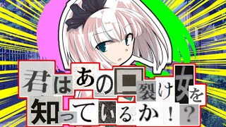 【ゆっくり茶番劇】幼馴染が可愛すぎる件【君はあの口裂け女を知っているか!?#総集編 】#ゆっくり茶番劇 #魂魄妖夢 #秦こころ