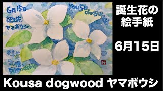 誕生花の絵手紙　6月15日　Kousa dogwood ヤマボウシ