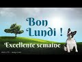 237 - Bon lundi - bonne semaine - carte virtuelle humour