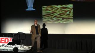 TEDxMindStreamAcademy - Dr. Howard Rankin - How Balancing Your Brain Balances You