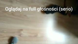 oglądaj to na full głośności (PLISS) XDDD😂🤣😂🤣