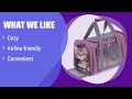 the top 5 best dual cat carrier in 2025 must watch before buying