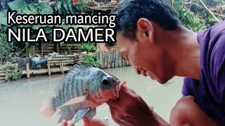 MANCING IKAN NILA DADA MERAH ‼️ MANCING BORONGAN