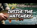 We Found The Secret Trout Club Hatchery!