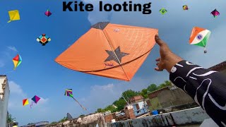 Kite looting | patang loot li bahut saari 😍 | kite flying | kite vlogs