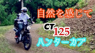 自然を感じて　　林道ツーリング　CT125ハンターカブ