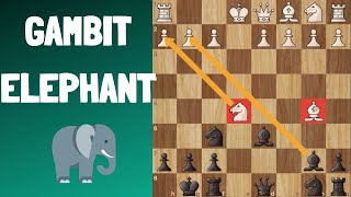 GAMBIT ELEPHANT [ Comment créer du dynamisme avec les noirs ]