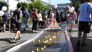 ダックレース　アヒル回収　The big duck race 2018 0603