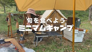 アスガルドミニ×カーリテックミニでミニマムキャンプ【ソロキャンプ】