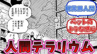 【ワンピース最新話1128話】太陽神がやりたい事ちょっと分かる　についての読者の反応集