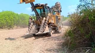 รถตัดอ้อยสด!! Sugar Cane Harvester