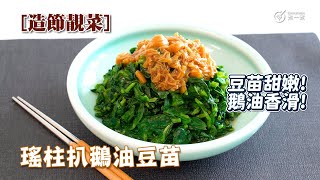 造節靚菜｜瑤柱扒鵝油豆苗Stir fry baby bean sprouts in goose fat with dry scallop sauce topping｜豆肧甜嫩｜鵝油香滑｜鮮味濃厚