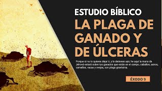 Estudio Bíblico | La plaga en el ganado y la plaga de úlceras - REFLEXIÓN.