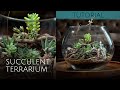 Succulent Terrarium Tutorial Step by Step