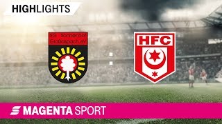 SG Sonnenhof Großaspach - Hallescher FC | Spieltag 35, 18/19 | MAGENTA SPORT