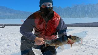 Our Favorite Lake Never Disappoints! Fishing for Lake Trout IN the Back Woods of Maine