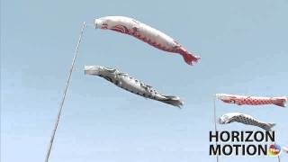 FULL HD 1080P 日本 千葉 Chiba Prefecture 鯉魚旗 Carp streamers blowing in wind aq0001672