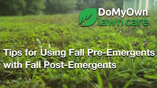 Using Fall Pre-Emergents with Fall Post-Emergents | DoMyOwn.com