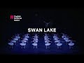 English National Ballet - Swan Lake | Liverpool Empire | ATG Tickets