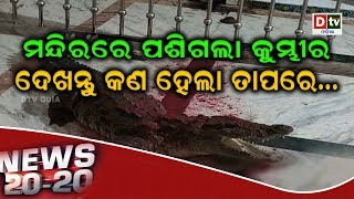 NEWS 20 20 | Odia news live updates #DtvOdia 24.06.2019