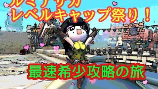 ルミアサガ　日課配信！ルーンの見直しと希少討伐！