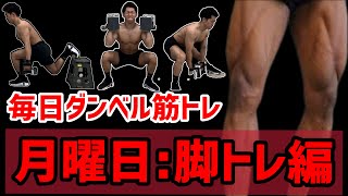 【毎日ダンベルで筋トレ①】月曜日:脚トレーニング編