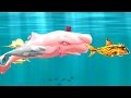 Hungry Shark Evolution Moby Dick Android Gameplay #15
