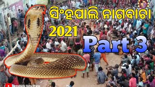 Singhpali nagbacha video 2021 part 3 #singhpali #sbalpuriamamubhanja