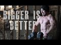 THE BIGGEST PUMP WORKOUT IN MY ARSENAL