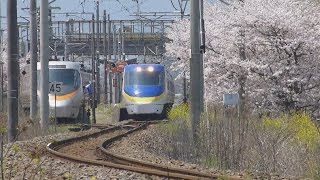 無人駅の春　JR四国予讃線　石鎚山駅　2017年４月