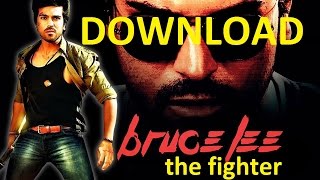 Download Bruce Lee The Fighter 2015 Hindi Dubbed 350MB DTHRip 480p Full HD