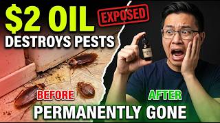 Exterminators Don’t Want You To Know This $2 Pest Repellent (Works Instantly)