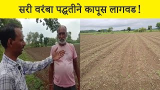 सरी वरंबा पद्धतीने कापूस लागवड! | Ridges and furrow method in cotton