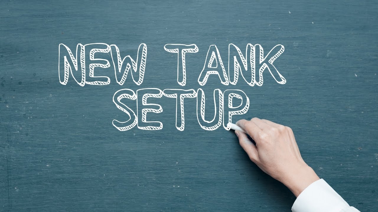New Tank Setup Youtube