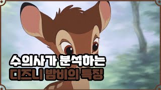 사슴 밤비를 수의사가 본다면?