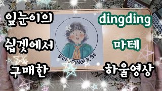 [잎눈 채널] 쉽겟에서 구매한 dingding(딩딩) 하울 영상(+asmr)