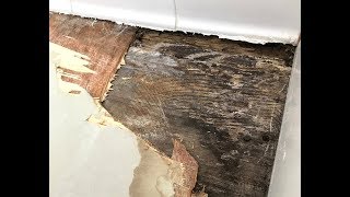 LastHumans Home Life: Master Bathroom Repairs - Part 1